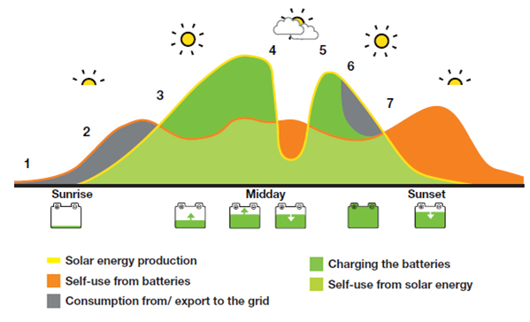 Daily Solar Energy Curve